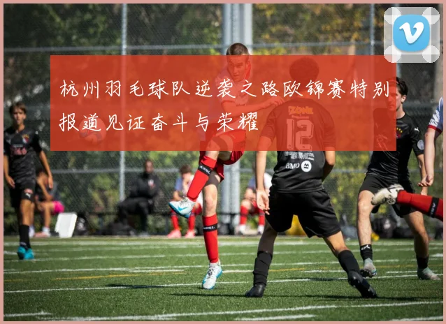 杭州羽毛球队逆袭之路欧锦赛特别报道见证奋斗与荣耀